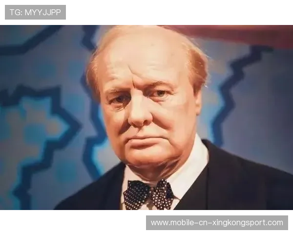 国王卖身传闻老板出手:背后的商业博弈与战略布局 国王卖身传闻老板出手:背后的商业博弈与战略布局