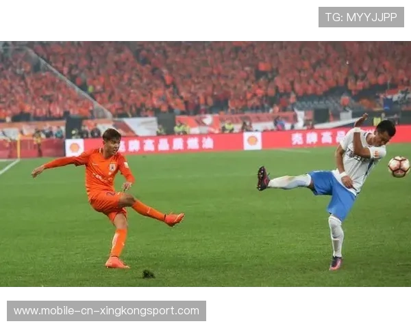 职业联赛赔付制度完善，保障球员合法权益，职业联赛的作用