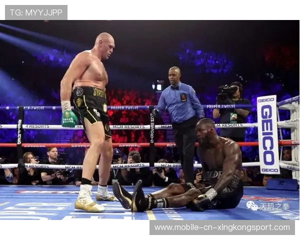 拳击擂台上瞬间节奏转变成致命致胜